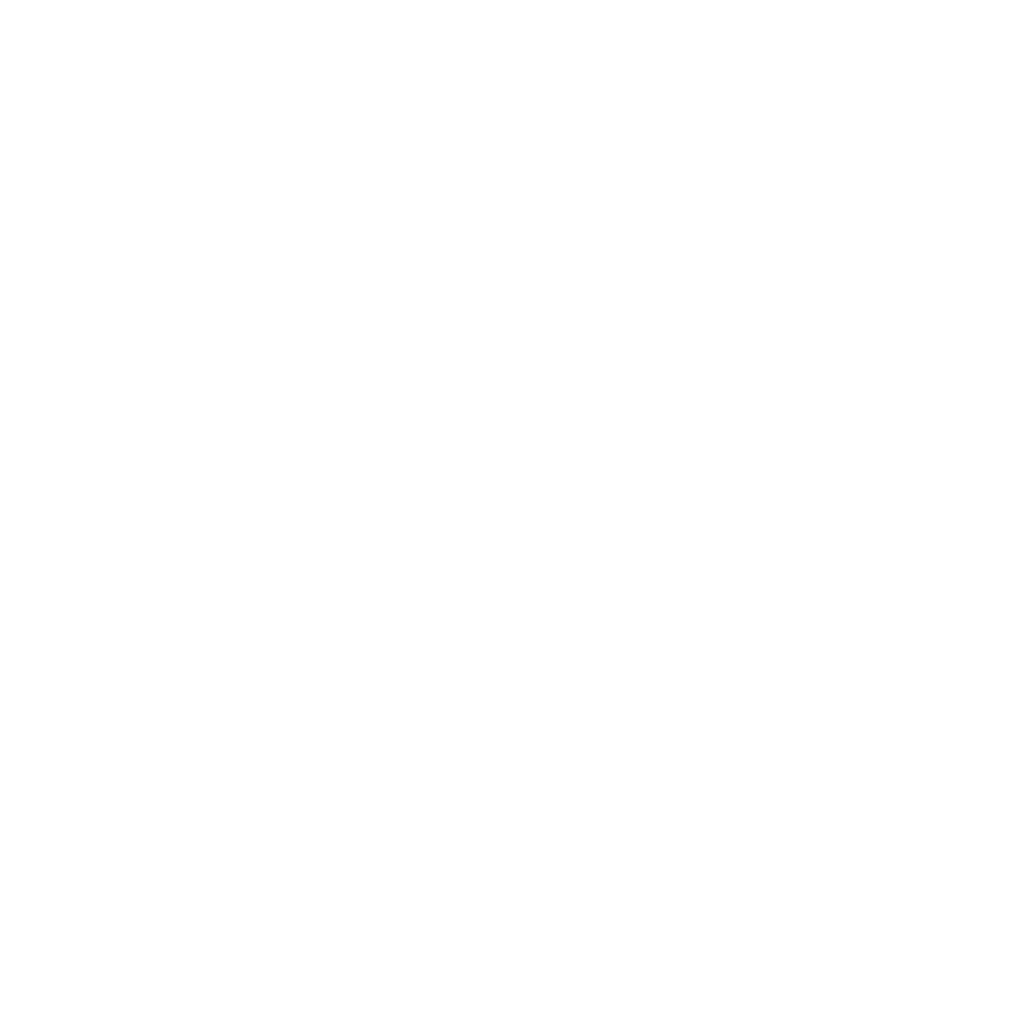 Comissão Eleitoral – Branco